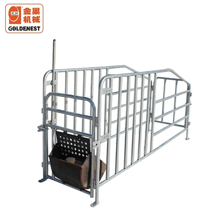 Sow Gestation Single Stall With Cast Iron Feed Trough