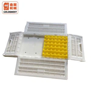 Bandejas para huevos de aves de corral y cajas para bandejas para huevos