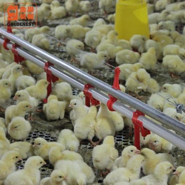 Automatic Nipple Drink Line For Chicken Broiler House