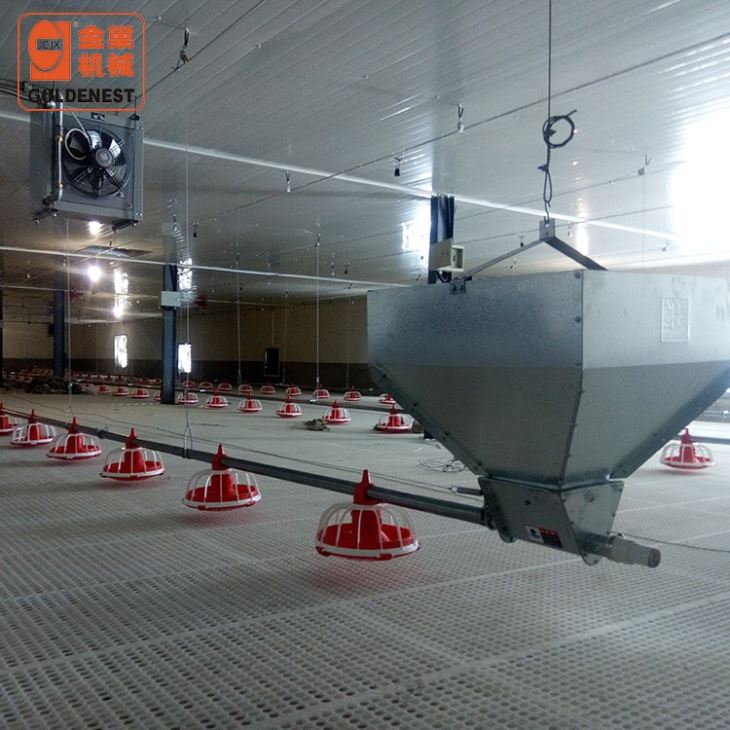 Broiler Automatic Feeding System Of Poultry Equipment Broiler Automatic Feeding System Of Poultry Equipment