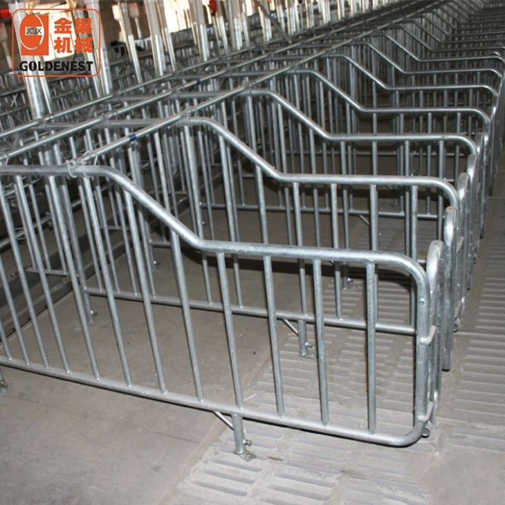 Sow Gestation Single Stall With Cast Iron Feed Trough